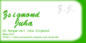 zsigmond juha business card